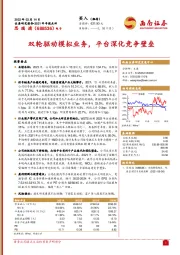 2021年年报点评:双轮驱动模拟业务,平台深化竞争壁垒