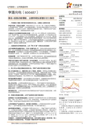 通信+能源战略清晰,业绩持续快速增长动力强劲