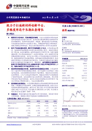 致力于打造新材料创新平台，多维度布局中长期业务增长