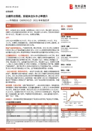 2021年年报点评:业绩符合预期,前驱体龙头市占率提升