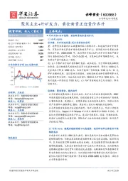 聚焦主业+外矿发力,黄金新贵正迎量价齐升