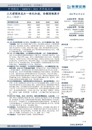 2021年年报点评:三元前驱体龙头一体化加速,份额持续提升