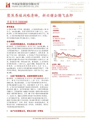 聚焦养殖战略清晰，新兴猪企腾飞在即
