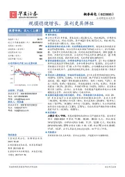规模稳健增长,盈利更具弹性
