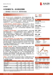 跟踪研究报告:光伏玻璃再扩张,成长路径更清晰