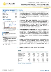 有机硅项目试产成功，2022年业绩可期