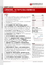 凯美特气点评报告:业绩超预期;电子特气打造公司新增长极
