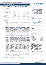 2021年年报点评：营收同比实现高增长