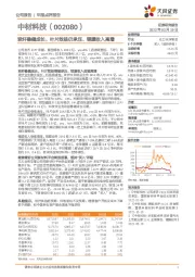 玻纤稳健成长、叶片效益仍承压、锂膜收入高增