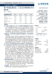 资产价值显著低估,火电龙头转型绿电行业领军者