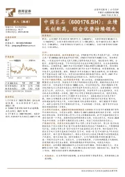 业绩再创新高，综合优势持续领先