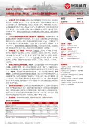 2021年年报点评:实现战略目标的“开门红”,期待三大铜矿业集群的绽放