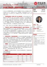 2021年年报点评:发力新产品新市场,展望新年新洁能