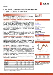 2021年年报点评：产能扩张持续，龙头成本优势加持下业绩有望维持高增
