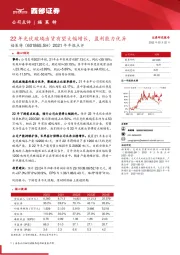 2021年年报点评：22年光伏玻璃出货有望大幅增长，盈利能力优异