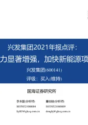 兴发集团2021年报点评：盈利能力显著增强，加快新能源项目落地