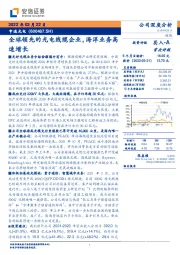 全球领先的光电线缆企业,海洋业务高速增长