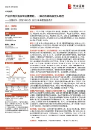 2021年年度报告点评：产品价格大涨公司业绩亮眼，一体化布局巩固龙头地位