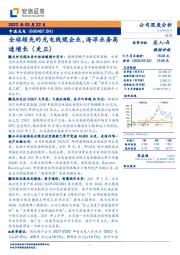 全球领先的光电线缆企业,海洋业务高速增长(更正)
