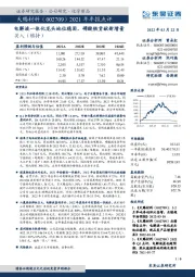 2021年年报点评：电解液一体化龙头地位稳固，磷酸铁贡献新增量