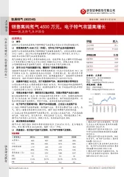 凯美特气点评报告：销售高纯氖气4500万元，电子特气有望高增长