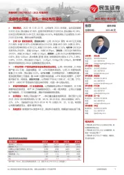 2021年报点评:业绩符合预期,龙头一体化布局深化