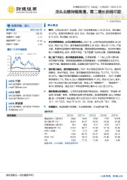 龙头业绩持续高增,第二增长曲线可期