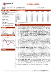 收入持续提速,业绩短期承压
