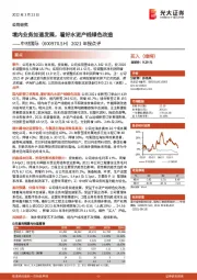 2021年报点评:境内业务加速发展,看好水泥产线绿色改造