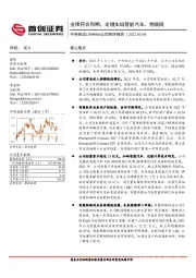 公司简评报告：业绩符合预期，定增加码智能汽车、物联网