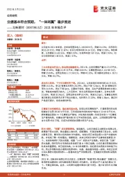 2021年年报点评：业绩基本符合预期，“一体两翼”稳步推进