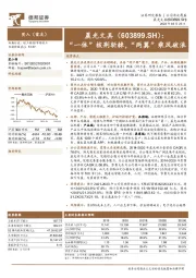 “一体”披荆斩棘，“两翼”乘风破浪