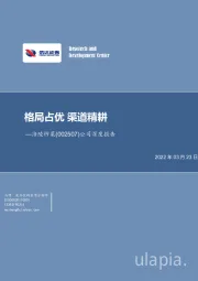 公司深度报告：格局占优 渠道精耕