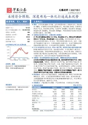 业绩符合预期，深度布局一体化打造成本优势