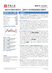 量价齐升驱动业绩长虹,盐湖开工布局新能源赛道开篇新作