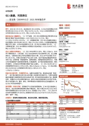 2021年年报点评：收入稳健，利润承压