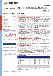 公司深度报告:深度系列四:原料用能渐落地,绿氢龙头高成长