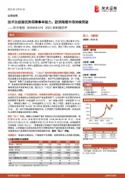 2021年年报点评:技术及经验优势保障拿单能力,欧洲海缆市场持续突破
