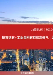 公司动态报告：培育钻石+工业金刚石持续高景气，力量钻石看点几何