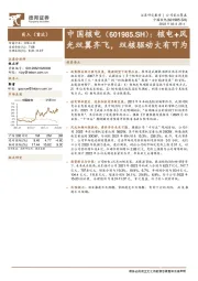 核电+风光双翼齐飞,双核驱动大有可为
