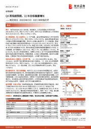 2021年年报点评：Q4表现超预期，22年目标稳健增长
