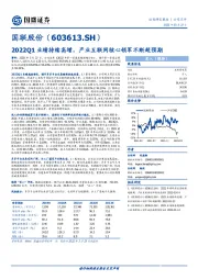 2022Q1业绩持续高增，产业互联网核心领军不断超预期