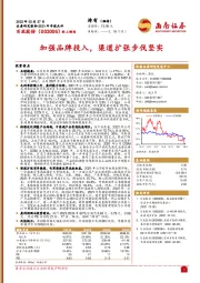 加强品牌投入，渠道扩张步伐坚实