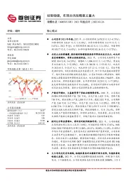 2021年报点评：经营稳健，布局光伏战略意义重大