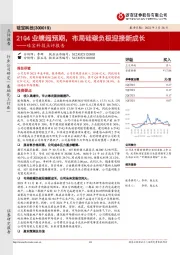 硅宝科技点评报告：21Q4业绩超预期，布局硅碳负极迎接新成长