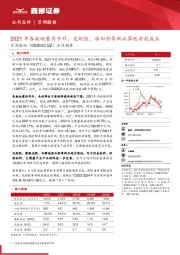 点评报告：2021年各板块量价齐升、光刻胶、添加剂等新品落地护航成长