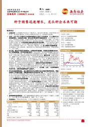种子销售迅速增长，龙头种企未来可期