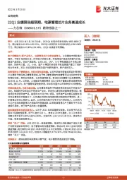 跟踪报告之一：22Q1业绩预告超预期，电源管理芯片业务高速成长