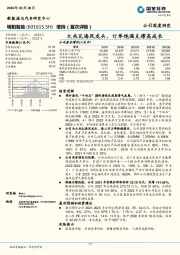 大兆瓦海风龙头，订单饱满支撑高成长