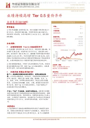 业绩持续高增 Tier 0.5量价齐升
